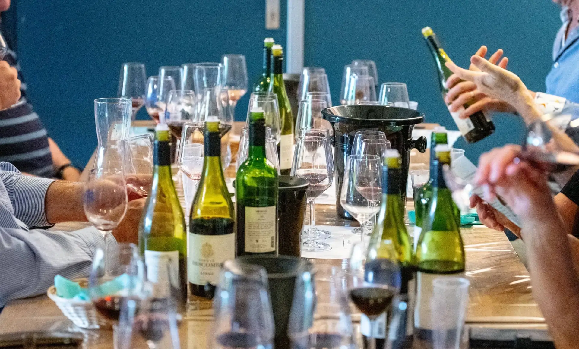 MO20250831-DSC_5229_hr kopie (2) (1)